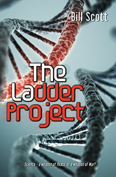 The Ladder Project by Bill Scott