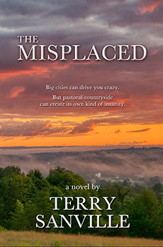 The Misplaced by Terry Sanville